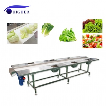 Vegetable Conveyor Machine